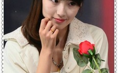 快猫网站在线进入